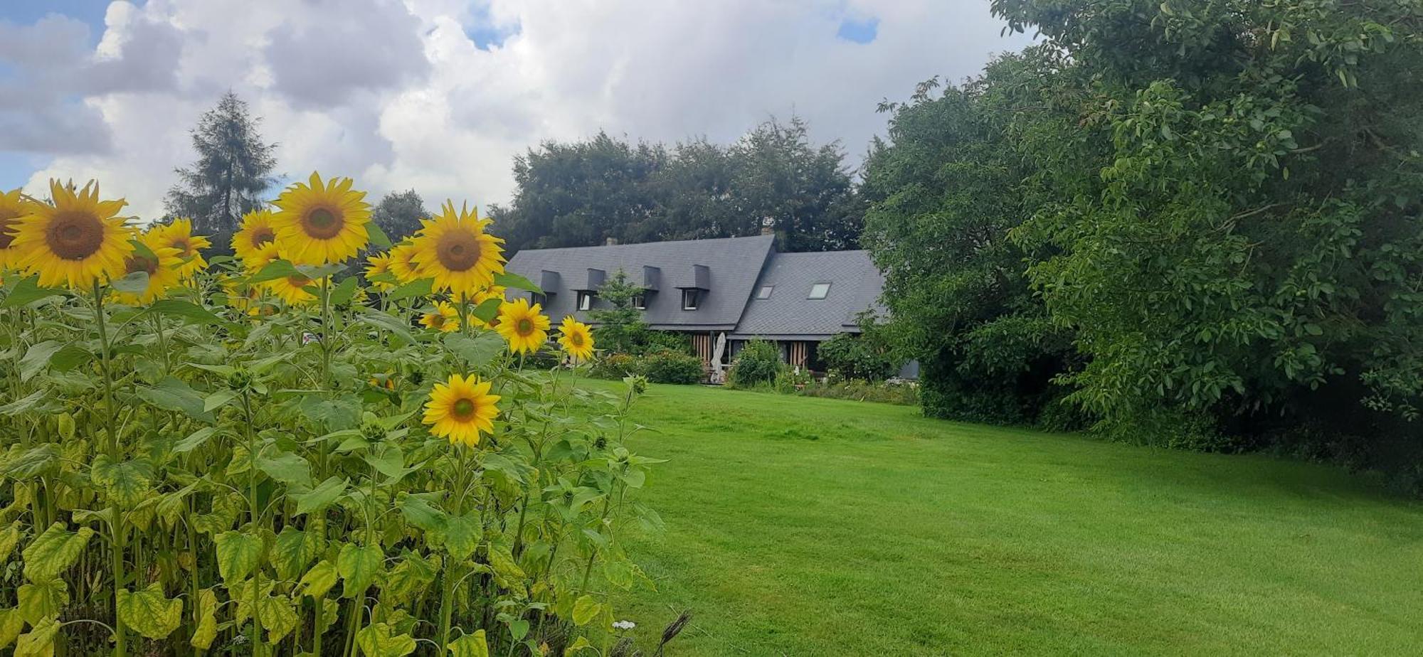 Auzouville-sur-Saâne Le Lit De La Saane Bed & Breakfast エクステリア 写真