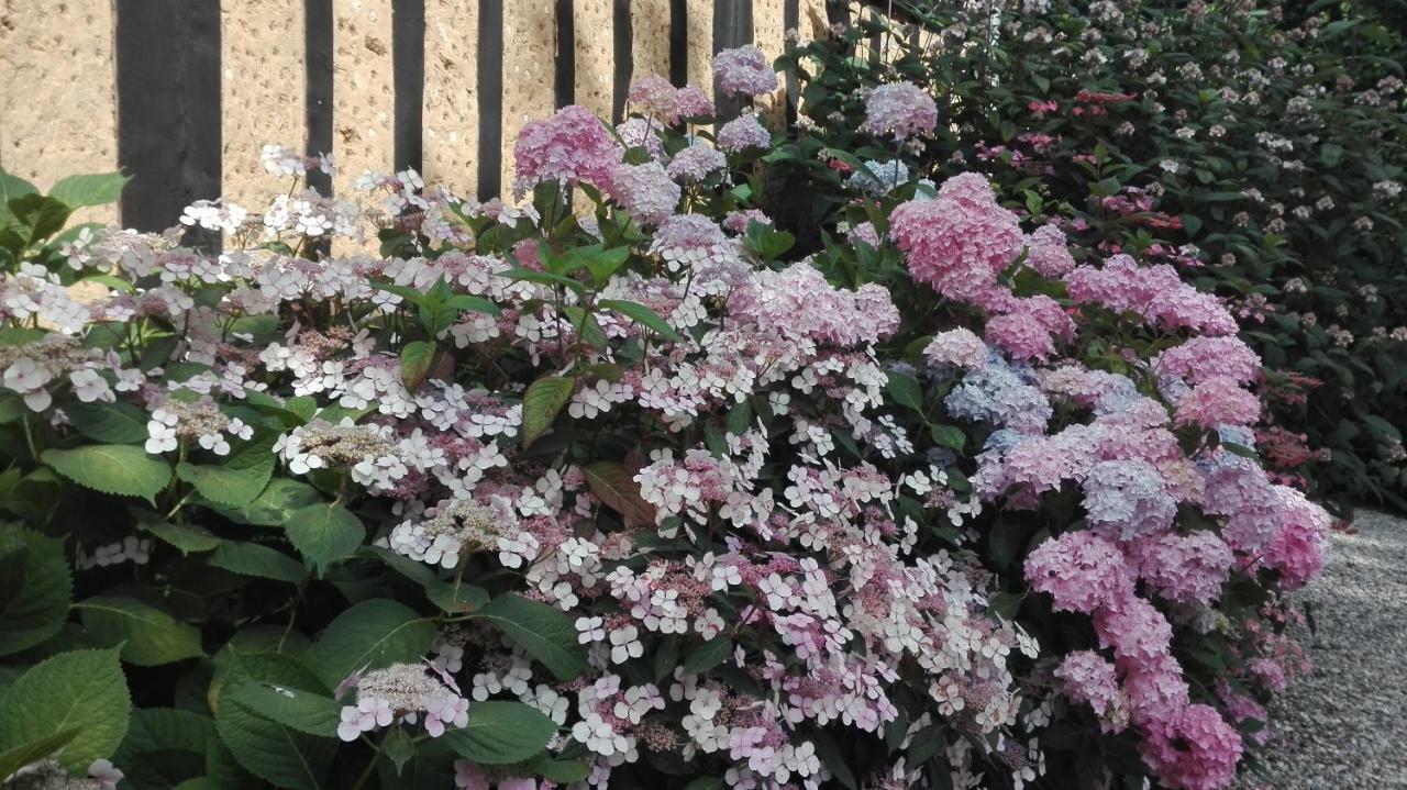 Auzouville-sur-Saâne Le Lit De La Saane Bed & Breakfast エクステリア 写真