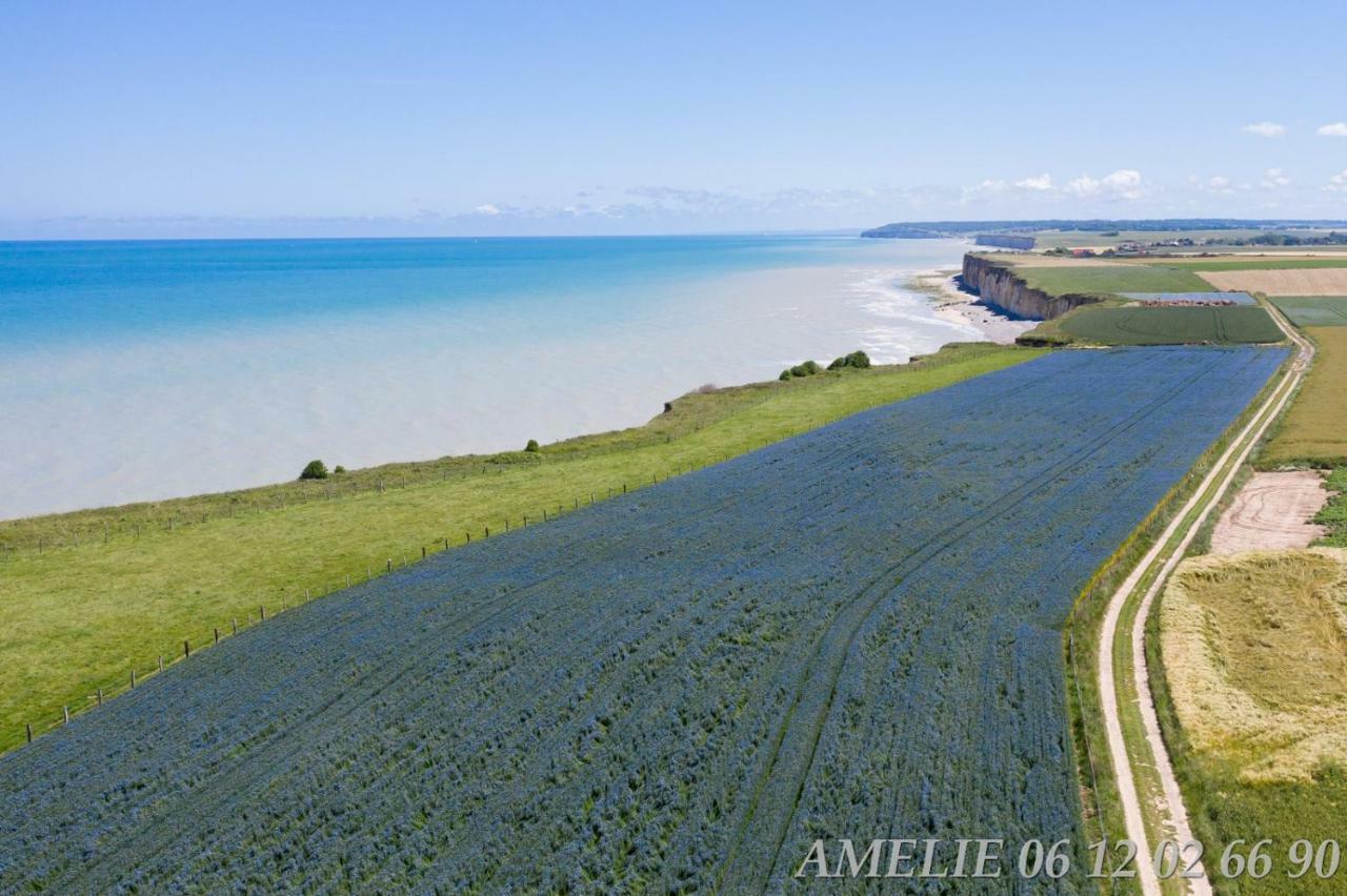 Auzouville-sur-Saâne Le Lit De La Saane Bed & Breakfast エクステリア 写真